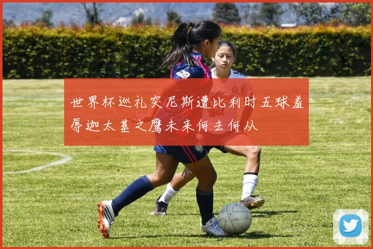 世界杯巡礼突尼斯遭比利时五球羞辱迦太基之鹰未来何去何从